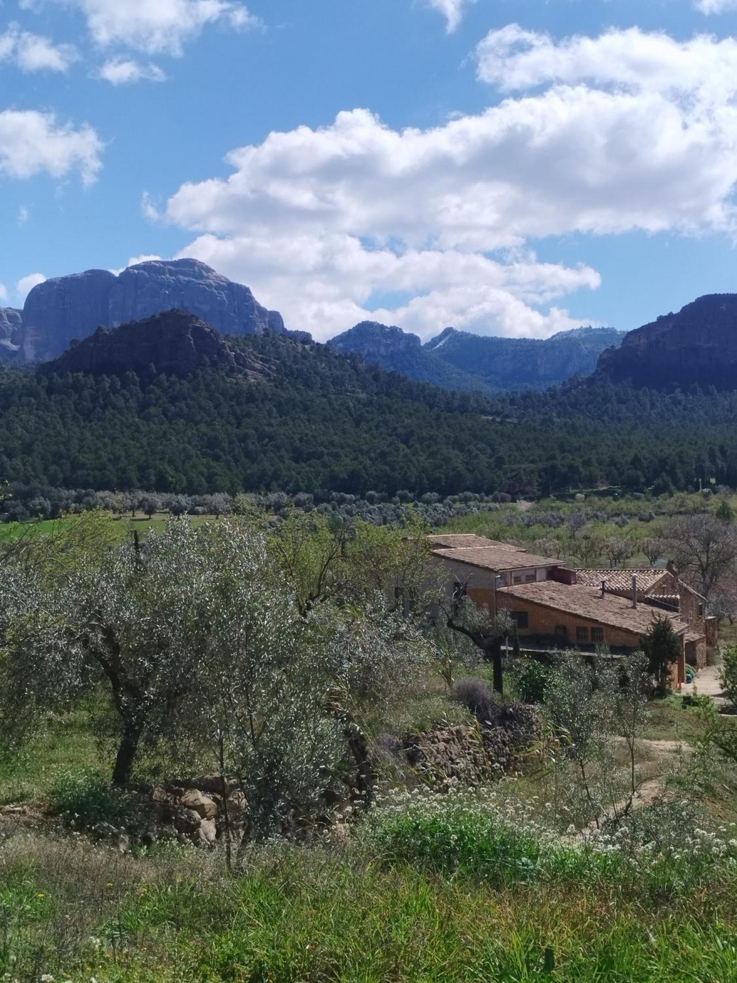 Mas De Manresa Lägenhet Horta de Sant Joan Exteriör bild