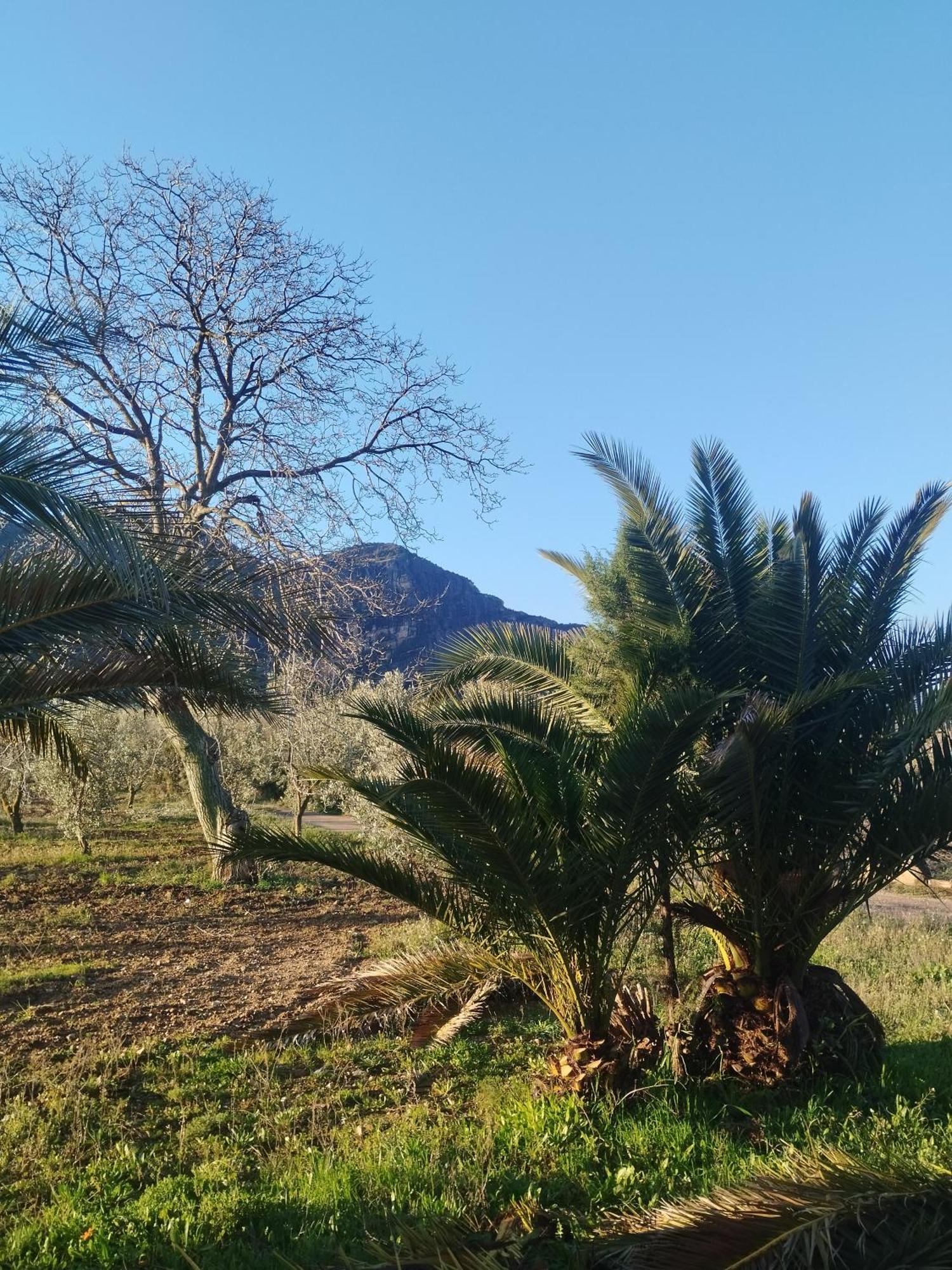 Mas De Manresa Lägenhet Horta de Sant Joan Exteriör bild