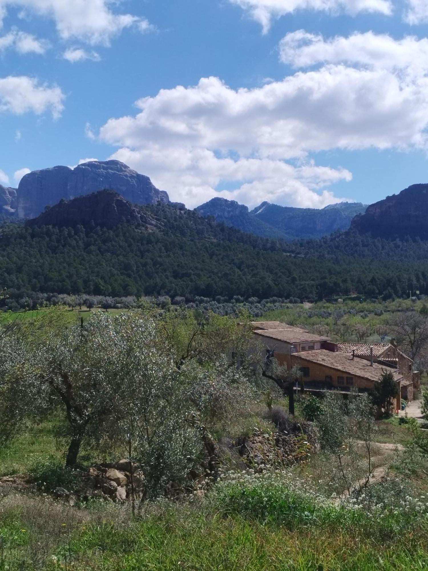 Mas De Manresa Lägenhet Horta de Sant Joan Exteriör bild